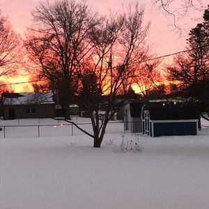 Meet your Posher, Vonda